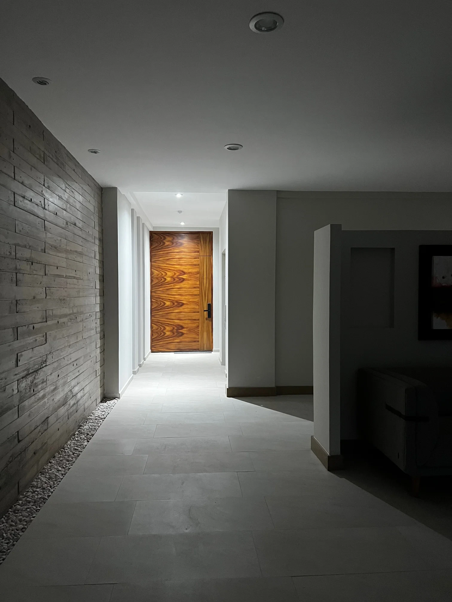 Desarrollador Inmobiliario 4 Puerta Principal - Carpintería Residencial de Lujo y al gusto en todos nuestros proyectos by Backer Developments - Backer.mx